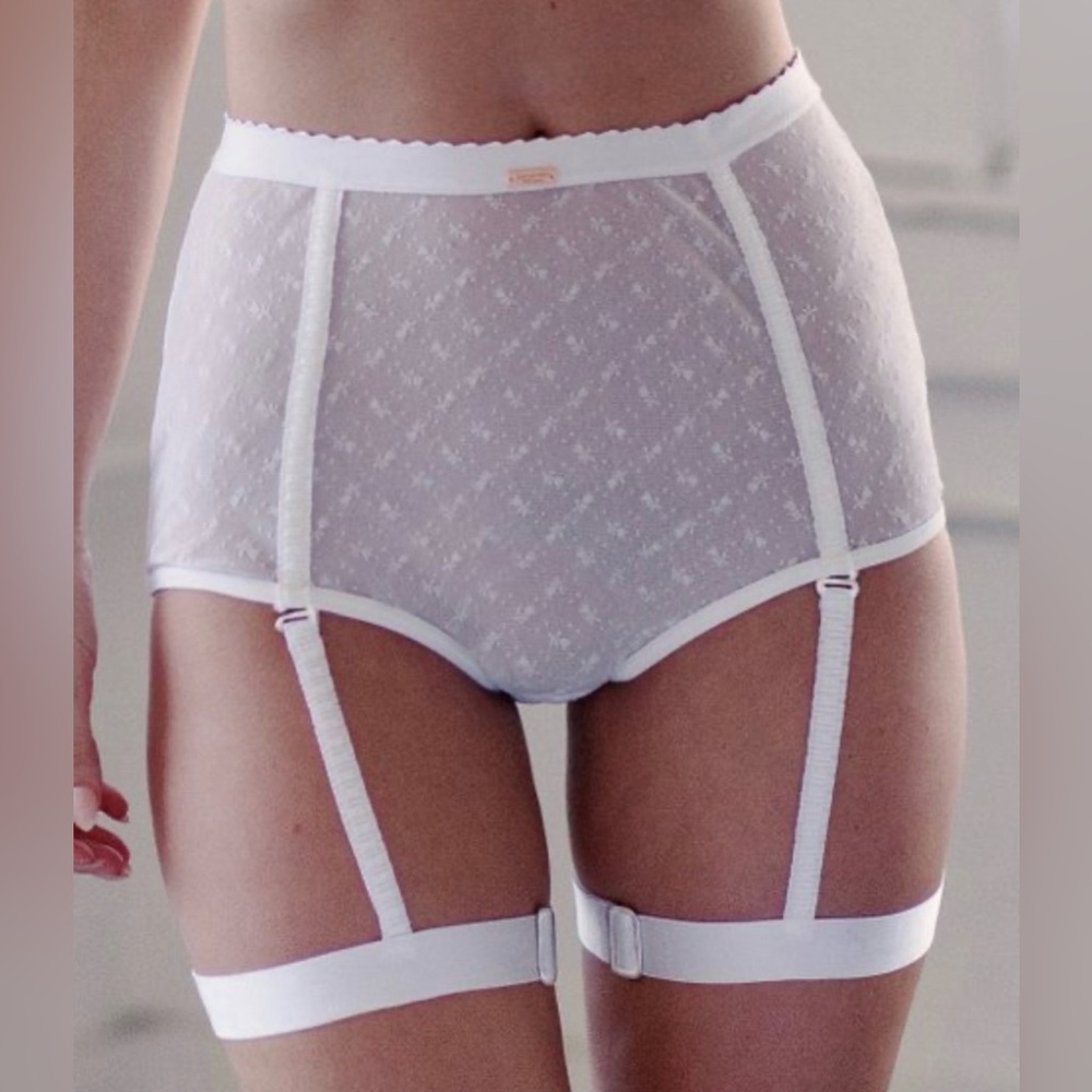 NWT Daydream Nation Cheesecake Garter Underwear